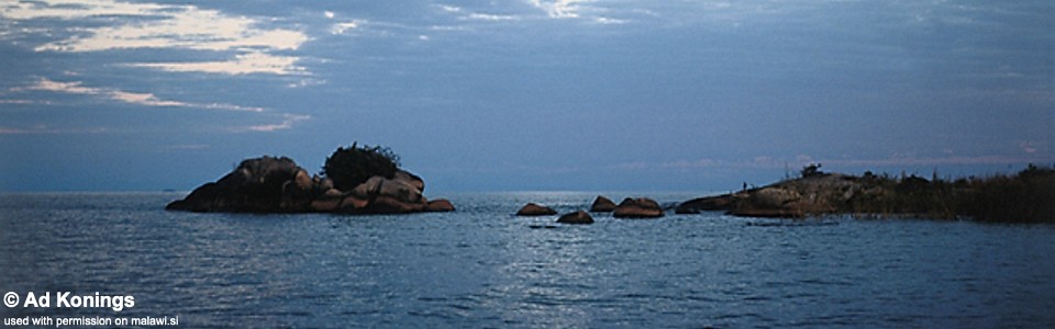 Benga, Lake Malawi, Malawi