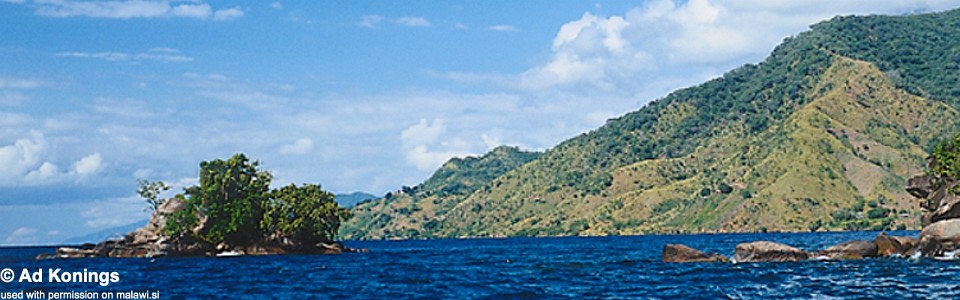 Charo, Lake Malawi, Malawi