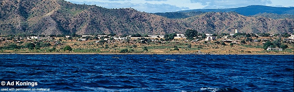 Chilucha Reef, Lake Malawi, Mozambique
