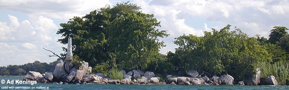 Chingubi Point, Lake Malawi, Malawi