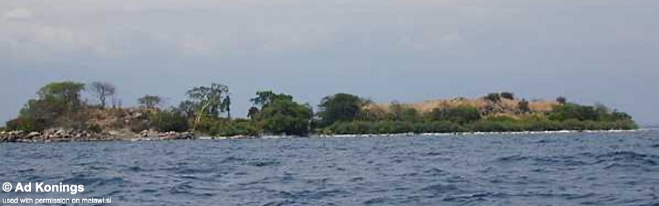 Chirwa Island, Lake Malawi, Malawi