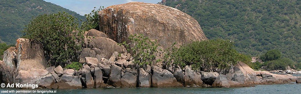 Coco Bay, Lake Malawi, Malawi