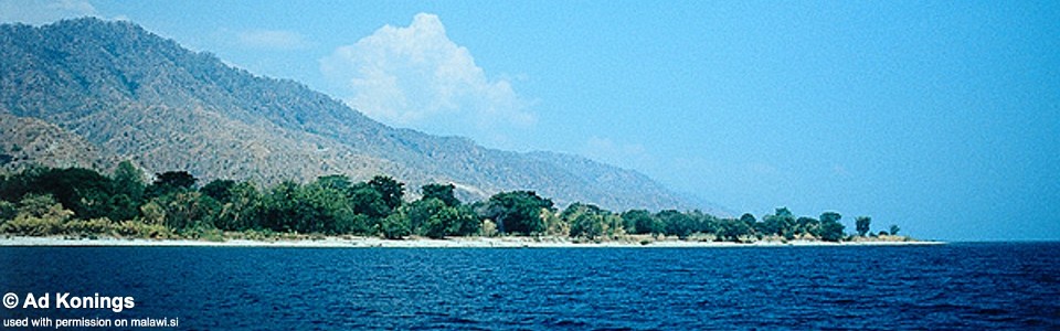 Ikombe, Lake Malawi, Tanzania