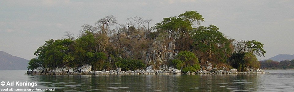 Kanchedza Island, Lake Malawi, Malawi