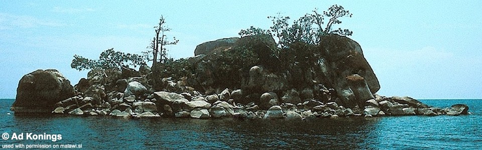 Lipingo Rock (Mbahwa Island), Lake Malawi, Tanzania