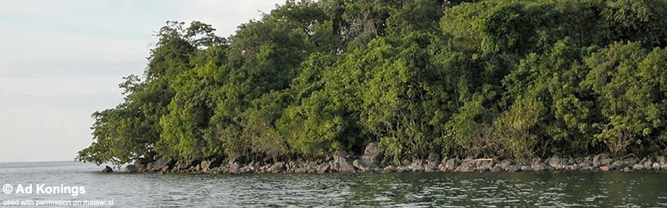 Lumbaulo, Lake Malawi, Mozambique
