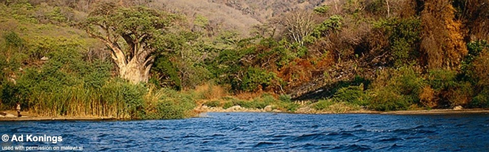 Lumessi, Lake Malawi, Mozambique