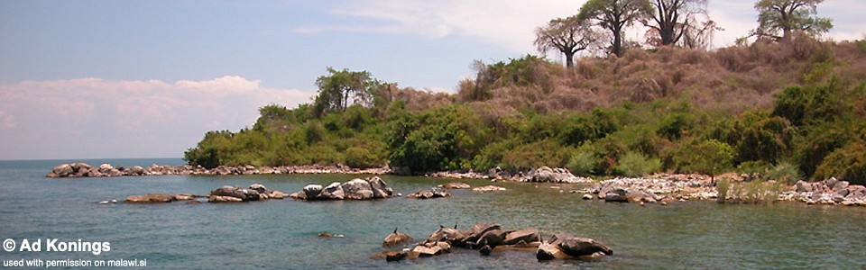 Maleri Island, Lake Malawi, Malawi