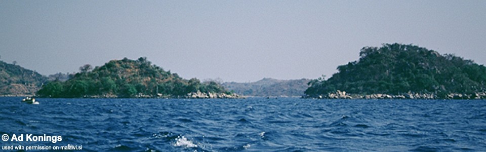 Mbamba Islands, Lake Malawi, Malawi