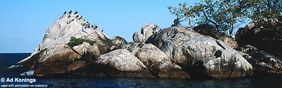 Mphandikucha Island, Lake Malawi, Malawi