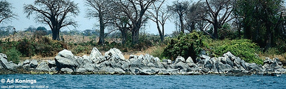 Narungu, Lake Malawi, Malawi
