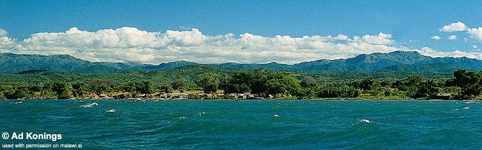 Ngara, Lake Malawi, Malawi