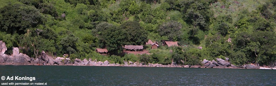 Ngwasi, Lake Malawi, Tanzania