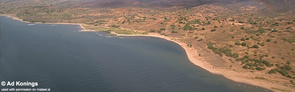 Njambe, Lake Malawi, Tanzania