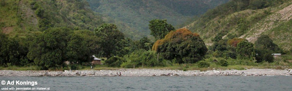 Nkanda, Lake Malawi, Tanzania