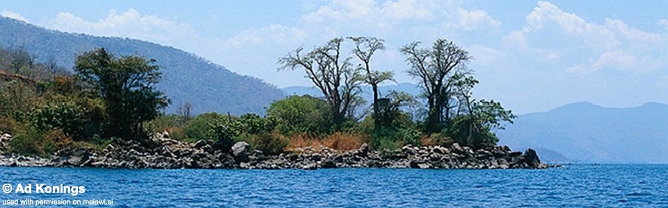 Nkhungu Point, Lake Malawi, Mozambique