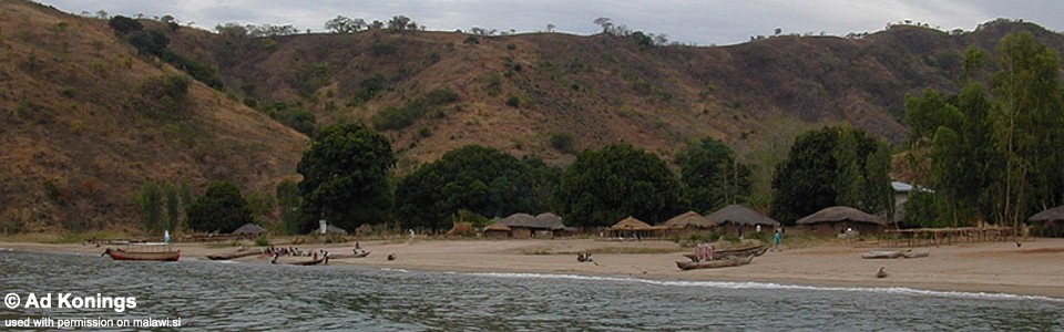Ruarwe, Lake Malawi, Malawi