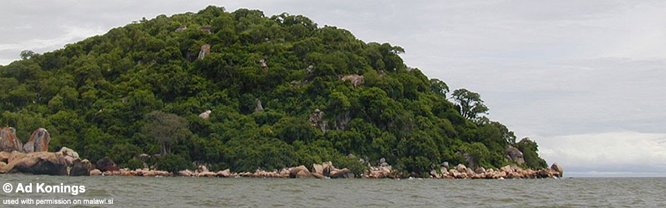 Senga Point, Lake Malawi, Malawi