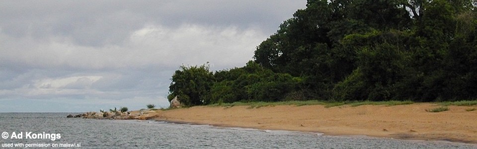 Tchia Point, Lake Malawi, Mozambique