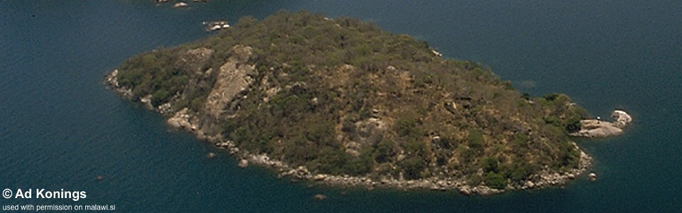 Thumbi East Island, Lake Malawi, Malawi