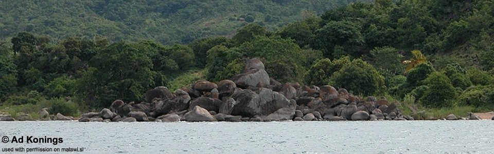Thumbi Point, Lake Malawi, Tanzania