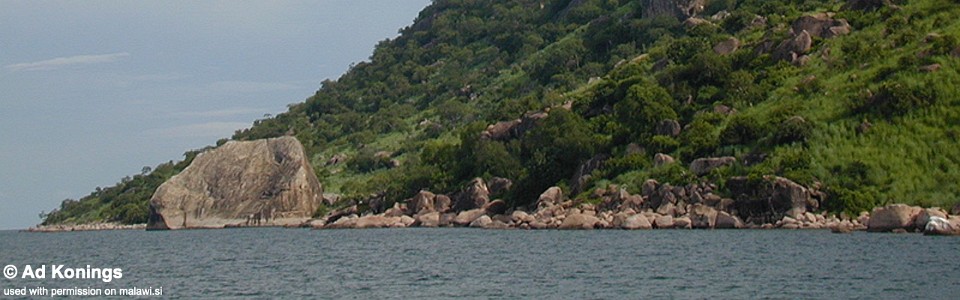 Tsano Rock, Lake Malawi, Malawi