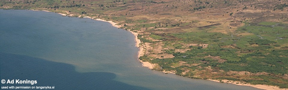 Vua, Lake Malawi, Malawi