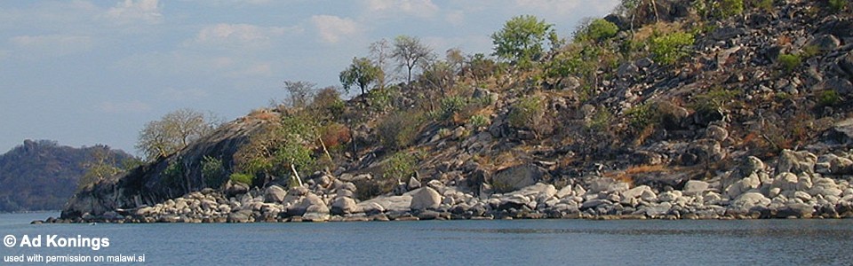 Zambo Point, Lake Malawi, Malawi