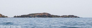 Mbenji Island