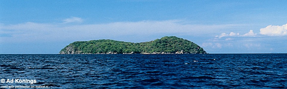 Mumbo Island, Lake Malawi, Malawi