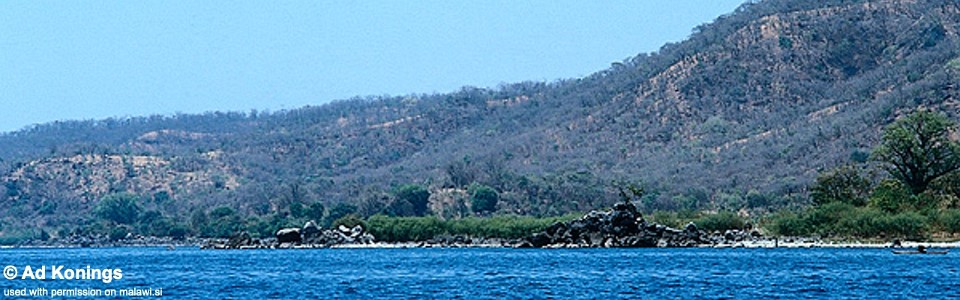 Thundu, Lake Malawi, Mozambique