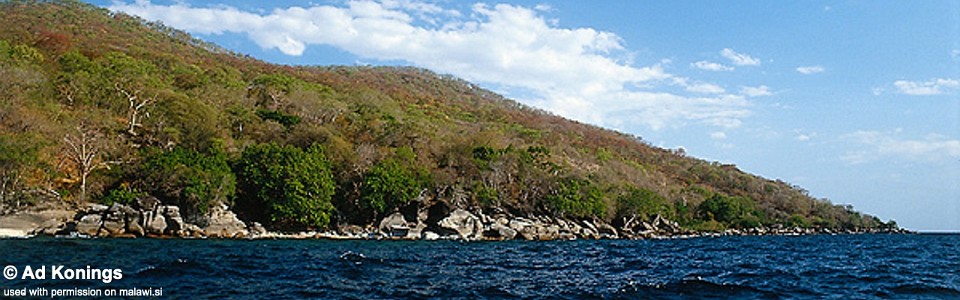 Tumbi Point, Lake Malawi, Mozambique