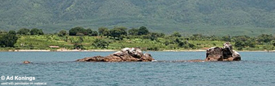 Hai (Chimate) Reef, Lake Malawi, Mozambique