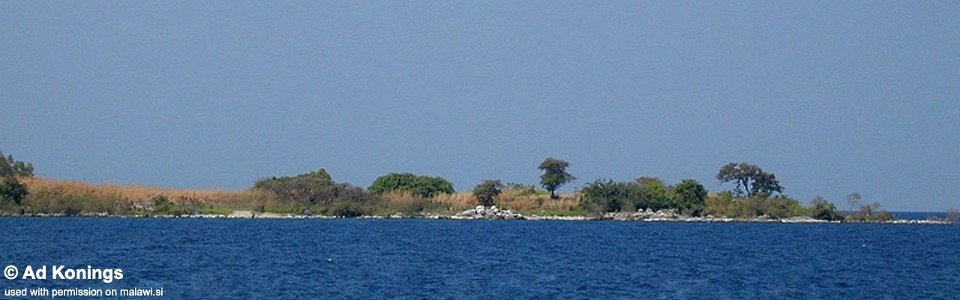 Liwelo Bay, Chizumulu Island, Lake Malawi, Malawi