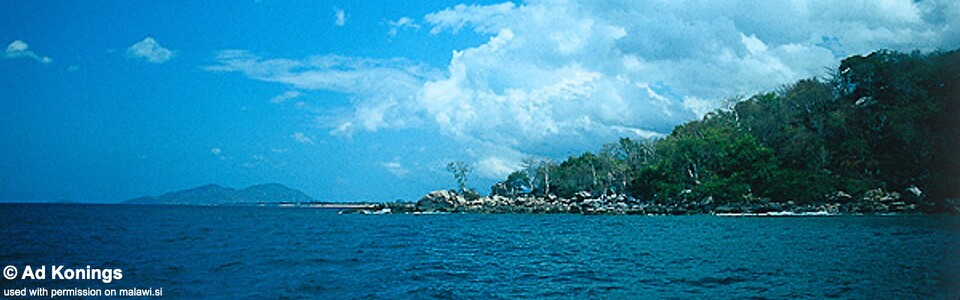 Undu Point/Reef, Lake Malawi, Tanzania