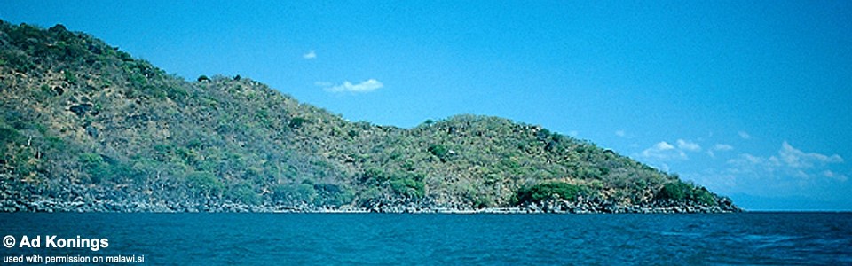 Chuwa, Lake Malawi, Tanzania