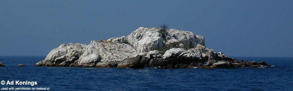 Fuawe Island, Lake Malawi, Malawi