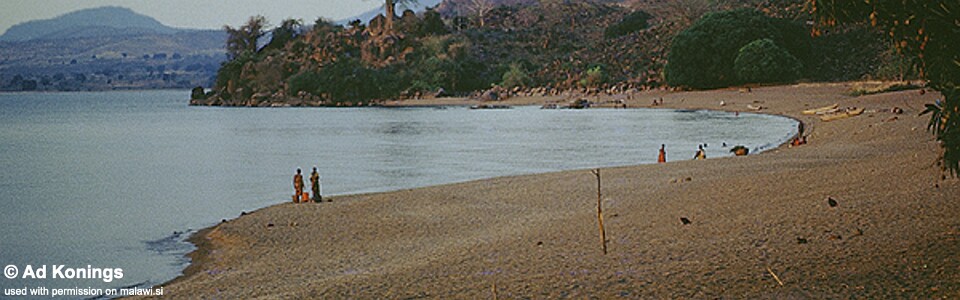 Lundu, Lake Malawi, Tanzania