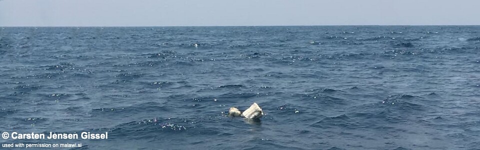 Tchinga Reef, Lake Malawi, Malawi