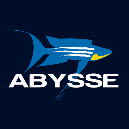 Abysse