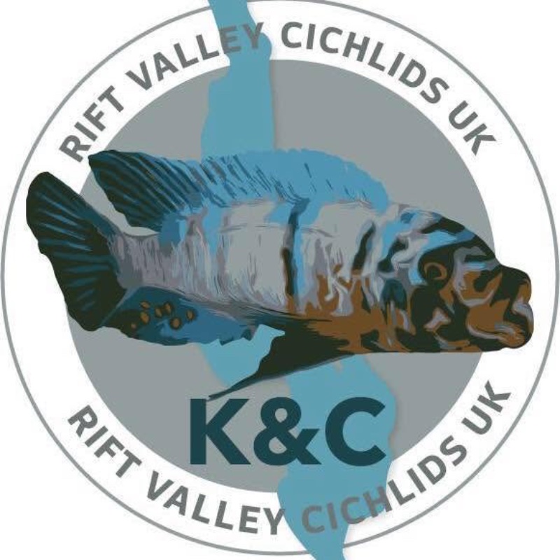 K&C Rift Valley Cichlids UK