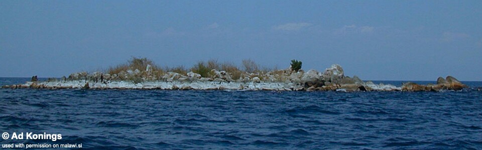 Katale Island, Lake Malawi, Malawi