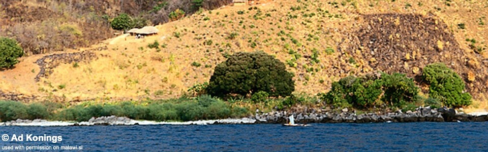 Liutche, Lake Malawi, Mozambique