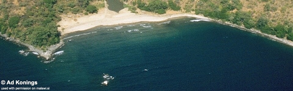 Magunga, Lake Malawi, Tanzania