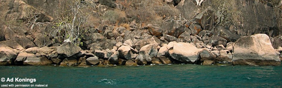 Mvunguti, Lake Malawi, Malawi