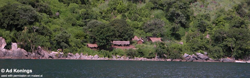 Ngwasi, Lake Malawi, Tanzania