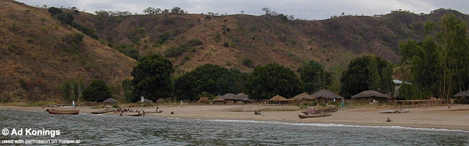 Ruarwe, Lake Malawi, Malawi