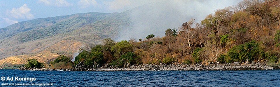 Wikihi, Lake Malawi, Mozambique